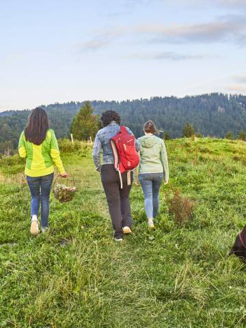 Geführte Wanderung