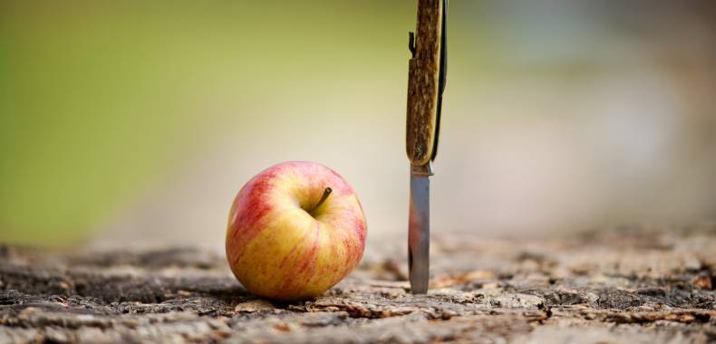 Ernährung nach dem Heilfasten