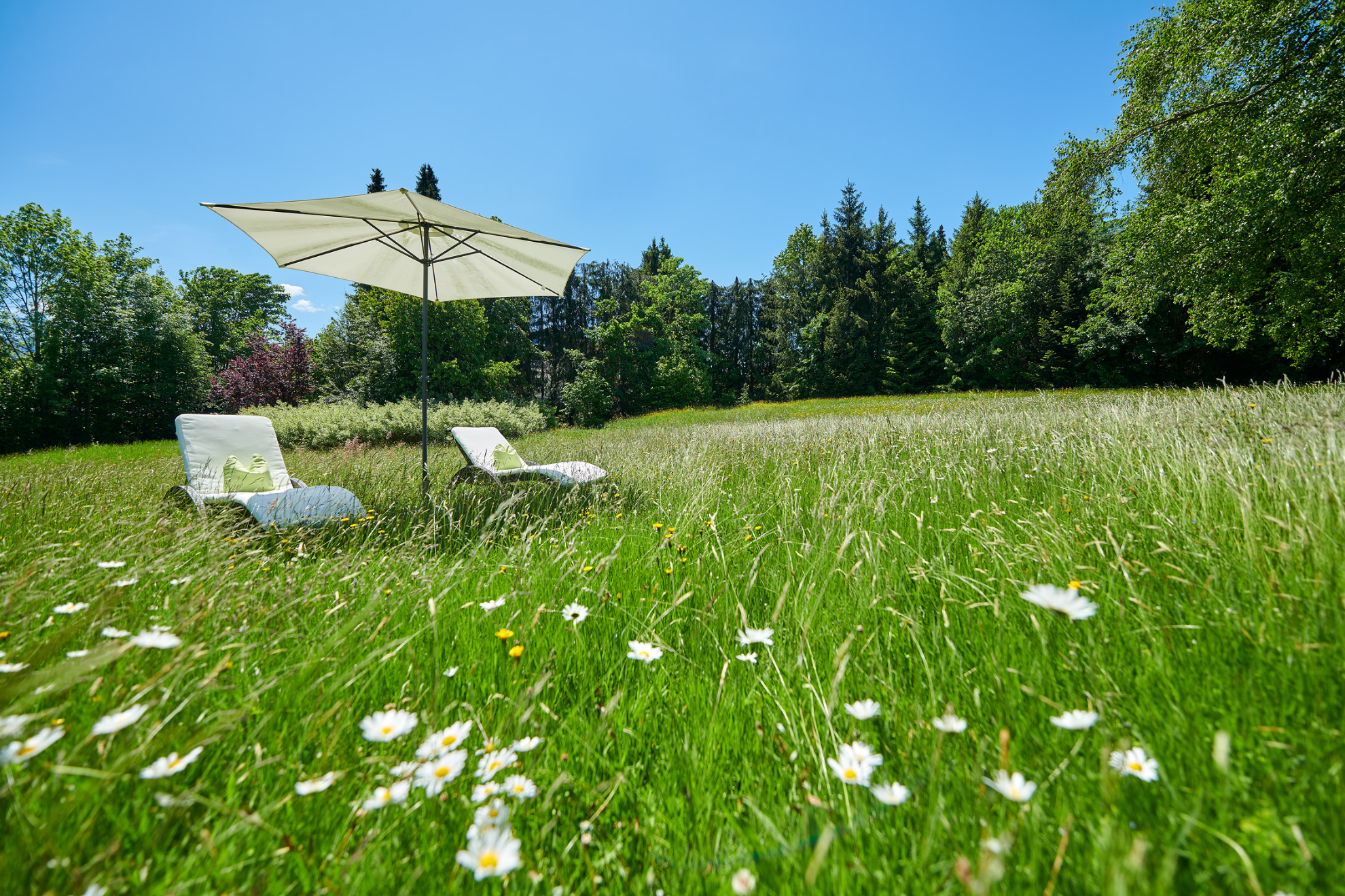 Erholung - Hotel Kronenhof