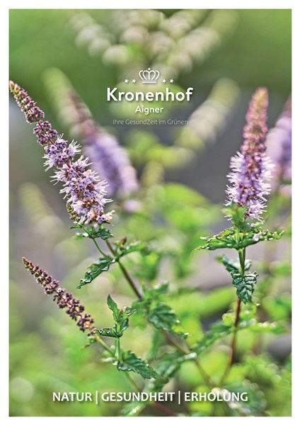 Hausprospekt Kur- und Wellnesshotel Kronenhof
